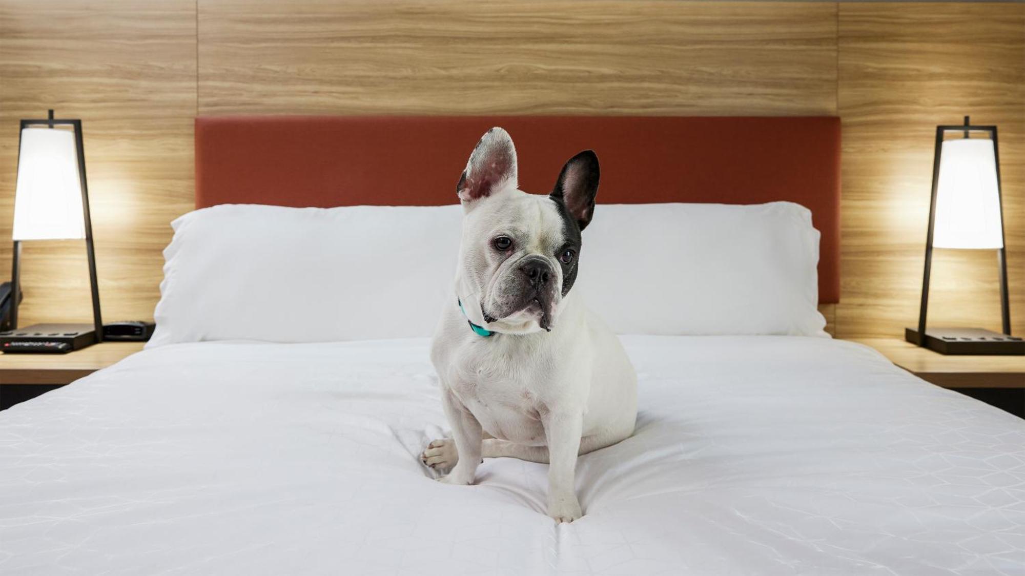 Candlewood Suites Junction City - Ft. Riley By Ihg Exterior photo